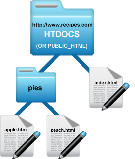 Directory Structure